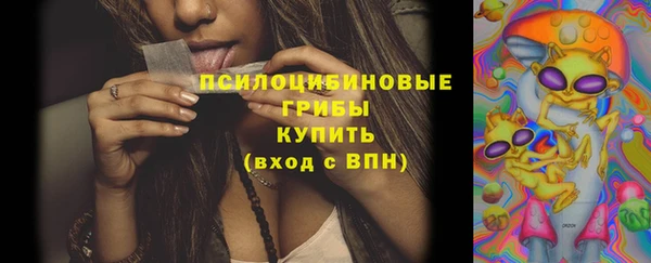 spice Магадан