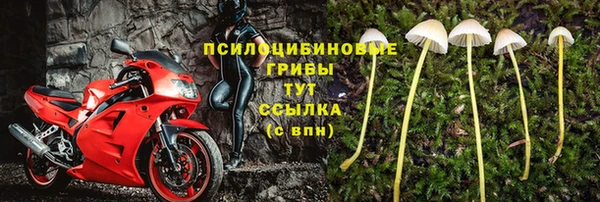 ПСИЛОЦИБИНОВЫЕ ГРИБЫ Бугульма